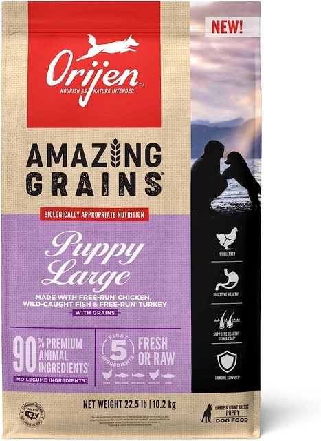 ORIJEN® Dry Dog Food, High Protein, Amazing Grains Puppy Large Breed 22.5LB