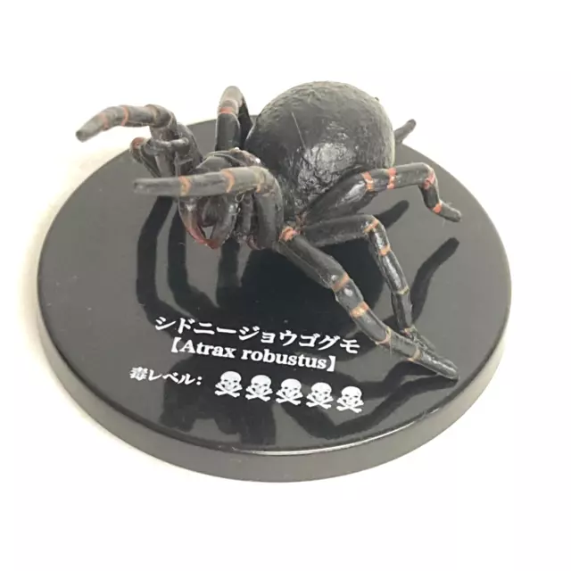 Poisonous Spider Figure Sydney Funnel Web Spider Takara Tomy Arts Japan