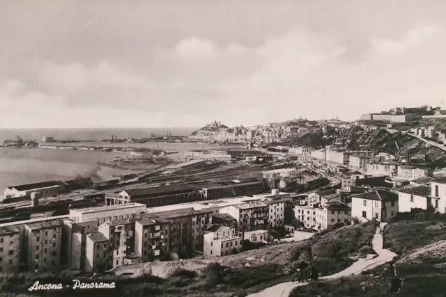 Cartolina - Ancona - Panorama - 1951