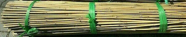50 Bambusstäbe Tonkin – Ca. 105 Cm Lang, 8–10 Mm Dick, Für Pflanzenstützen & Rankgitter
