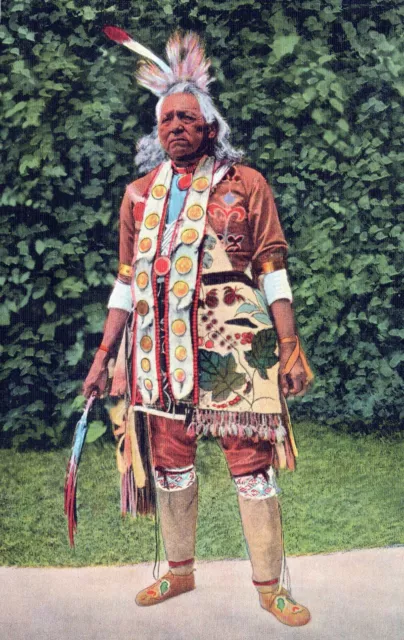 Indian Chief in Full Regalia Native American Unposted Postcard