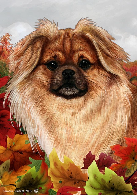 Fall Garden Flag (TB) - Red Sable Tibetan Spaniel 134771