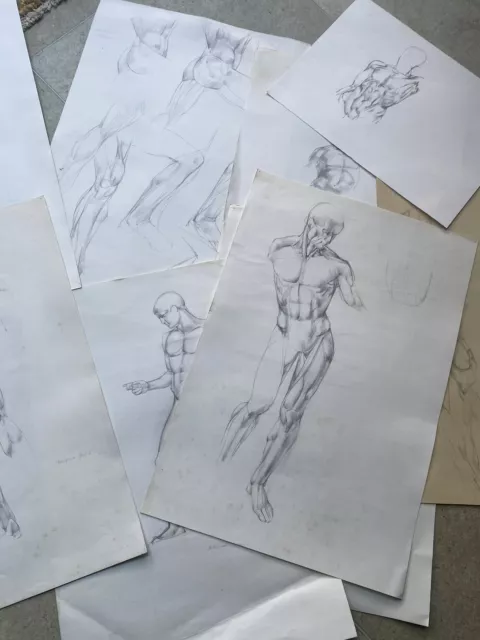 Nude Male 11 x antomical ORIGINAL DRAWINGS Pencil Lots Studies 1970’s Urban Art