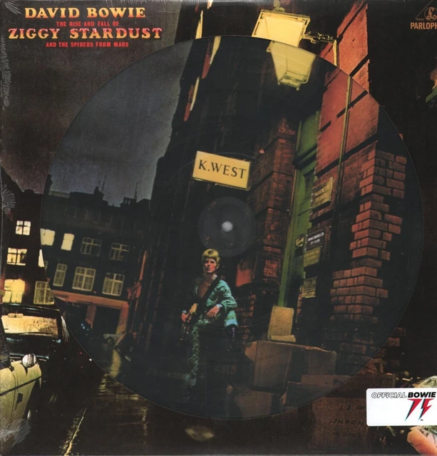 DAVID BOWIE RISE and Fall of Ziggy Stardust and the Spiders From Mars ...