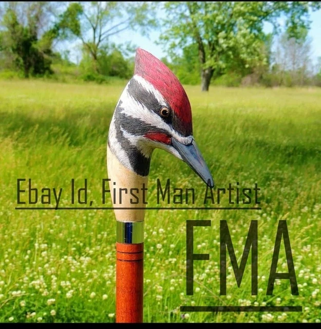 Woodpecker Head Walking Stick Wooden Hand Carved Bird Walking Cane X_Mass GIFT B