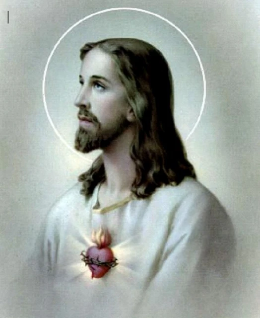 ERRORS OF JEHOVAH'S Witnesses - heresies, Holy Bible, Catholic DVD ...