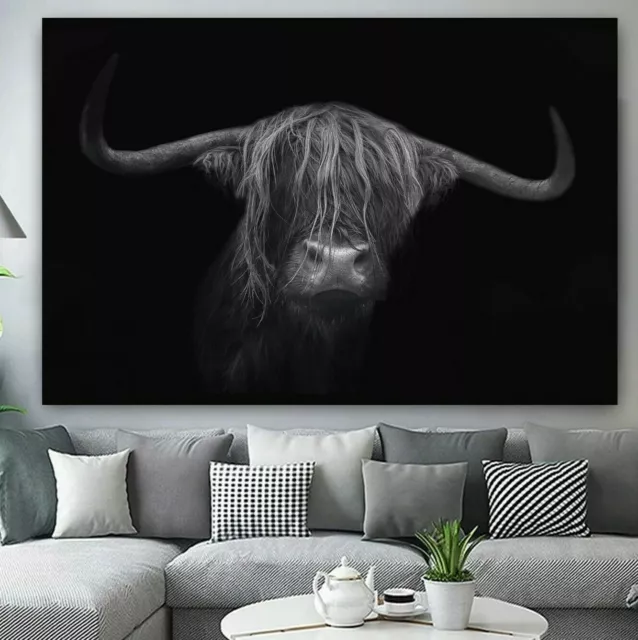 Gorgeous Highland Cow Black White FRAMED CANVAS WALL ART PICTURE or PAPER PRINT