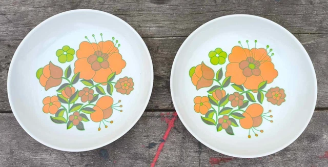 2 Anciennes assiettes creuses en Arcopal collection séventies Kitsch année 70 eB