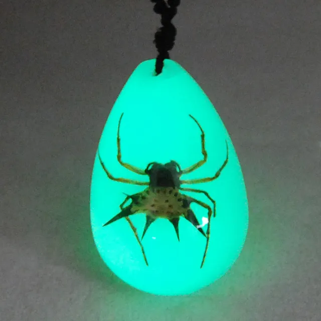 New Spiny Spider Glow Insect Necklace Pendant Taxidermy
