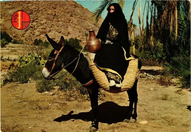 CPM AK Dans le Sud Marocain MAROC (751442)
