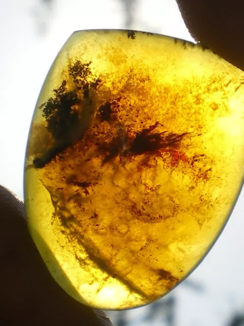 Cabochon Translucide d'Opale Jaune 26 cts! (Madagascar)