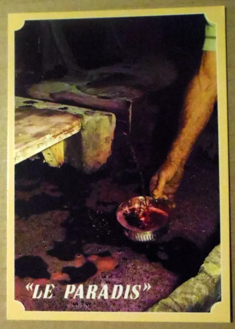 Carte postale Le fameux paradis , vin bourru, premier tirage vigne     postcard