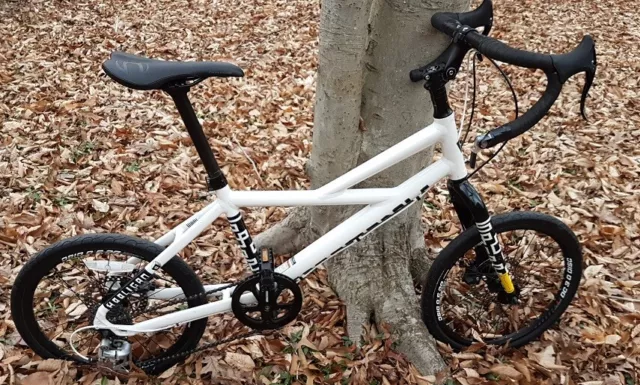 Cannondale Hooligan Bicycle 20" Wheels Mini Velo Bike