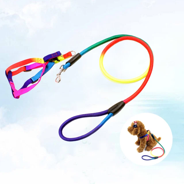Arcobaleno colore cani collari guinzaglio cuccioli stoviglie cinghie pettorali