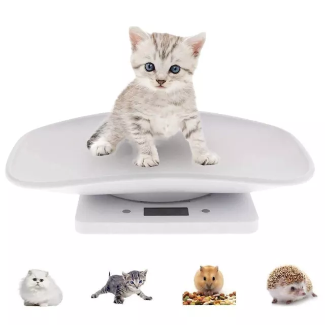 Digital Mini Pet Scale LCD Electronic Scale 22lbs Measurement for Kitchen/Puppy