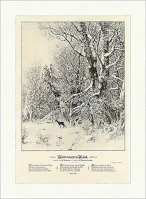 Ad. Schweitzer: Weihnachts Wald Gedicht Edward Alexander Reh Holzstich E 9081