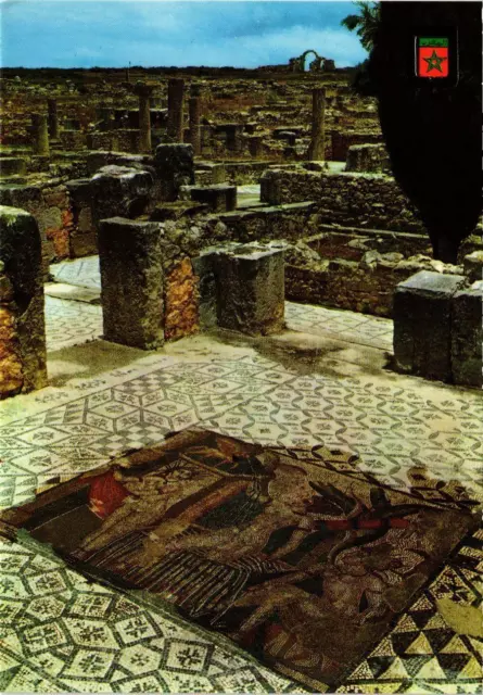 CPM AK Volubilis- Mosaiques de la maison de Venus MAROC (880830)