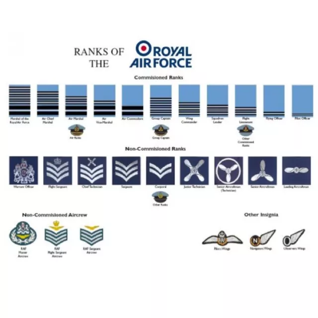 RANKS OF THE Royal Air Force Military Raf Poster A3 Poster Recruits ...