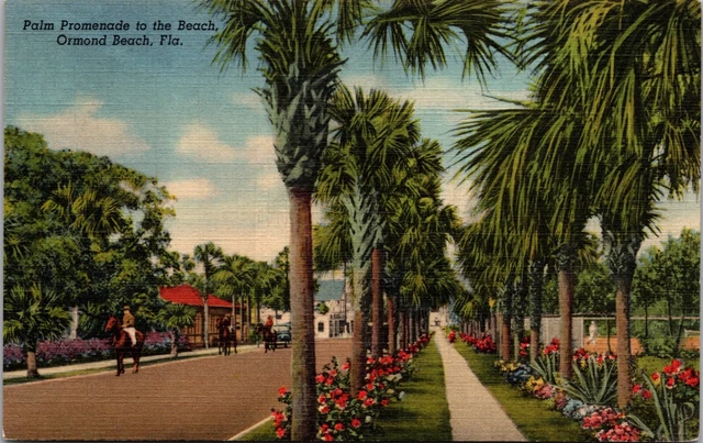 Promenade Of Palm Trees To Beach Ormond Beach Florida FL Linen Postcard L61