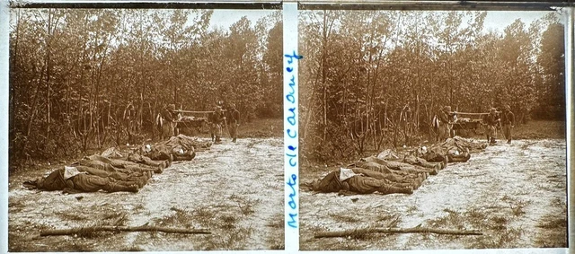 Photos sur verre première guerre WW1 - - old photos