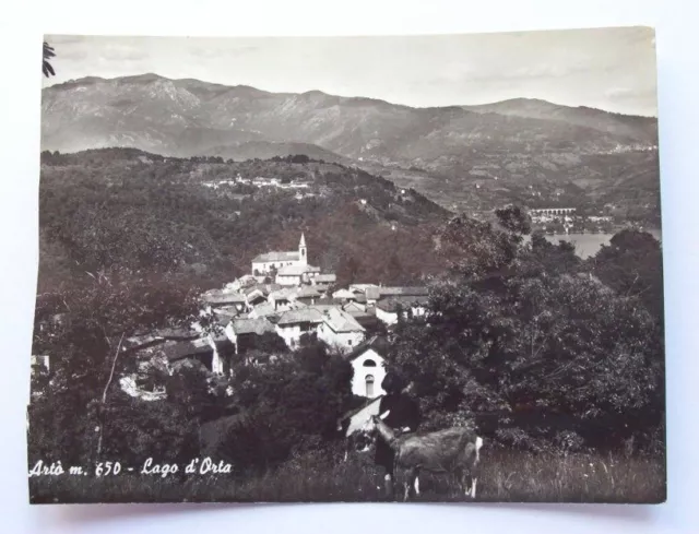 Cartolina Alzo ( Novara ) - Lago d' Orta 1956.