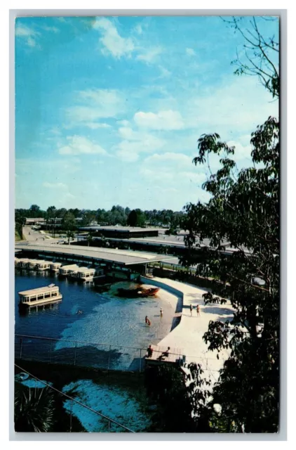 Silver Springs, FL Florida, Aerial View of Bathing Beach & Boat Docks, Postcard