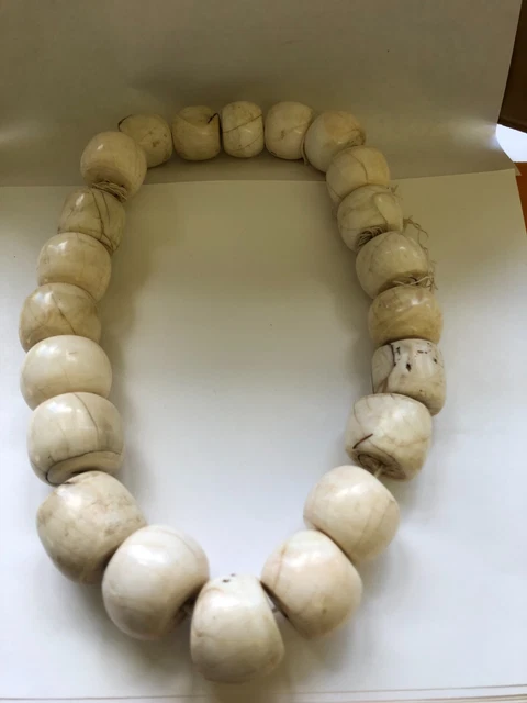 Angami giant clam shell necklace Naga