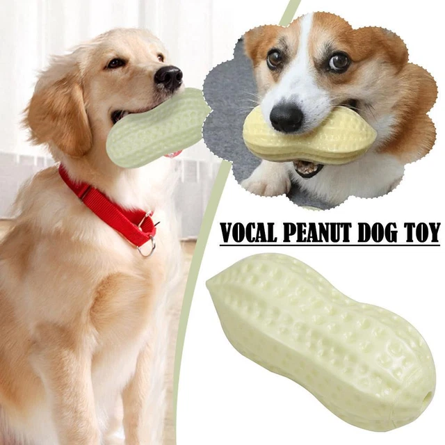SOUND MAKING DOG Toy Small Dogs Puppies Bite Resistant Teeth Grinding