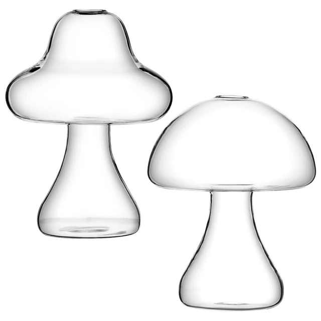 2 Pcs Glass Craft Decorate Clear Vase Flowers Glass Vase Decor
