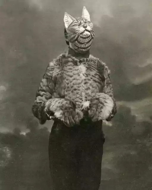 Antique Halloween Cat Photo 1771b Odd Strange & Bizarre 2