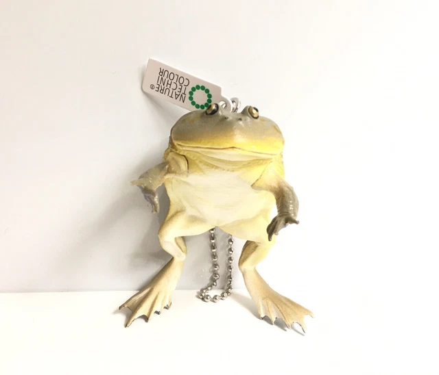 Kitan Club Nature Kaiyodo Budgett’s Hippo Frog Toad SP Keychain Animal Figure