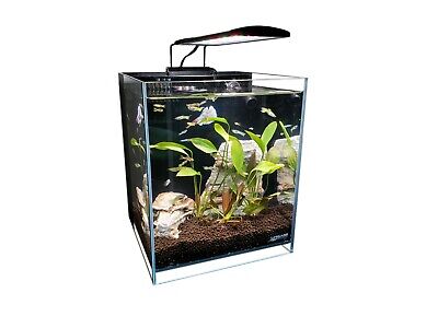 8 Gallon Ultra Low Iron Clear Glass Betta Aquarium with Full Spectrum LED light