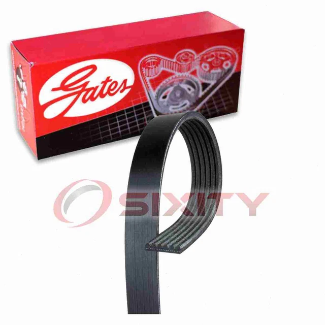 Gates Micro-V Serpentine Belt for 2000-2003 Dodge Dakota 4.7L V8 Accessory iw