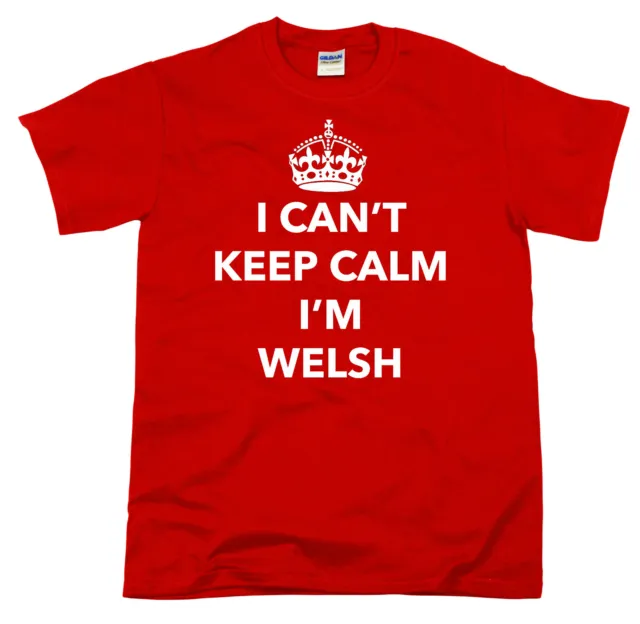 I can't Keep Calm I'm Welsh Celtic Nation Dragon Wales Cymraeg Rugby Fan Men tee