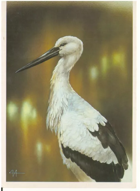 USSR postcard 1990 Far East Stork charity issue "Moscow Zoo" artist ISAKOV