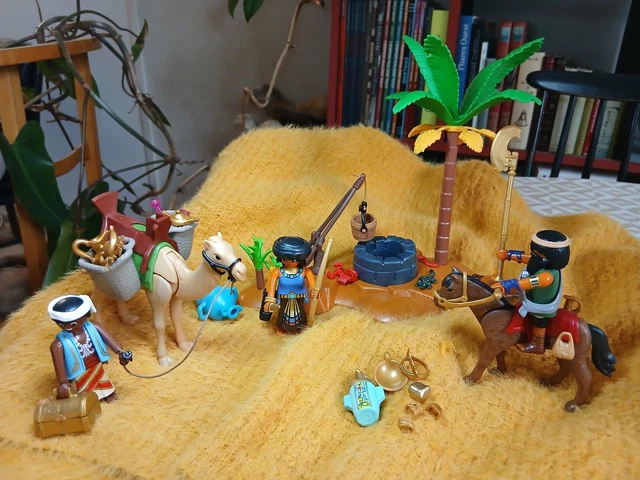 PLAYMOBIL History 4246 pas cher - Pilleurs et cachette