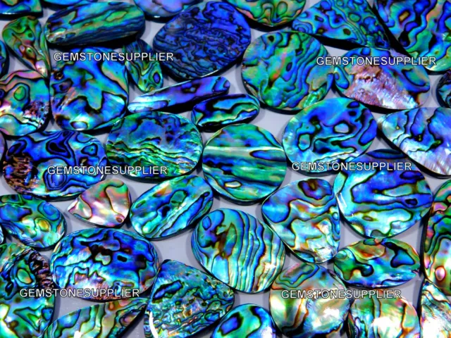 Naturel Multi Feu Abalone Coque Cabochon en Gros Lot Pierre Précieuse 62.PIECES 2