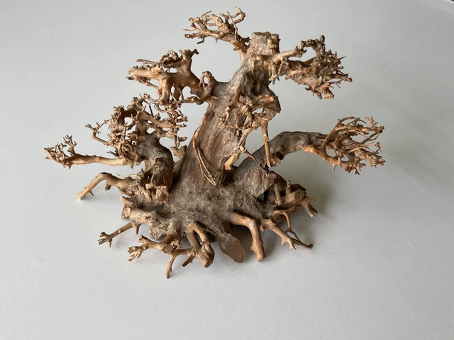 Bonsai Driftwood Moss Tree Aquarium Freshwater Planted Tank Fish Shrimp - 290901