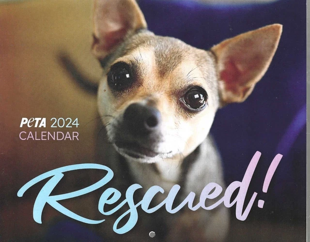 PETA 2024 WALL Calendar RESCUED! Animal Protection and Welfare Dogs