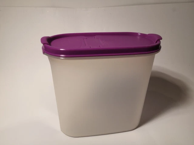 Best HD Pictures about  Elegantes Tupperware Eidgenosse 1 7 Liter Ebenbild  with No AI Images