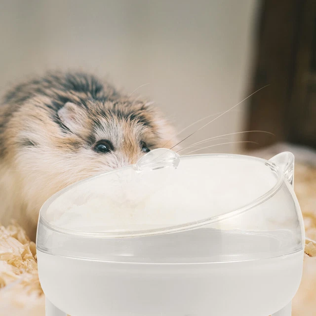 Vasca da bagno per piccoli animali bagno di sabbia per criceti vasca da bagno per criceti toilette per topi da corsa