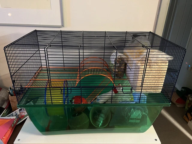 Hamster / Gerbil Cage