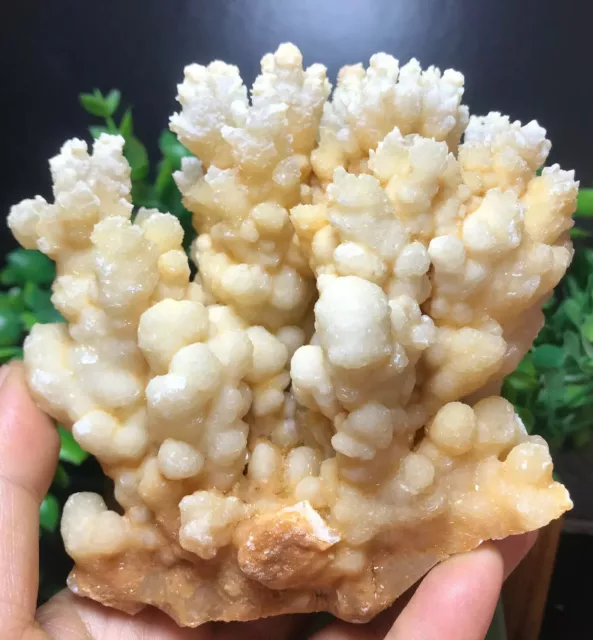 716g  New find natural yellow Calcite Crystal cluster mineral specimen/China 59
