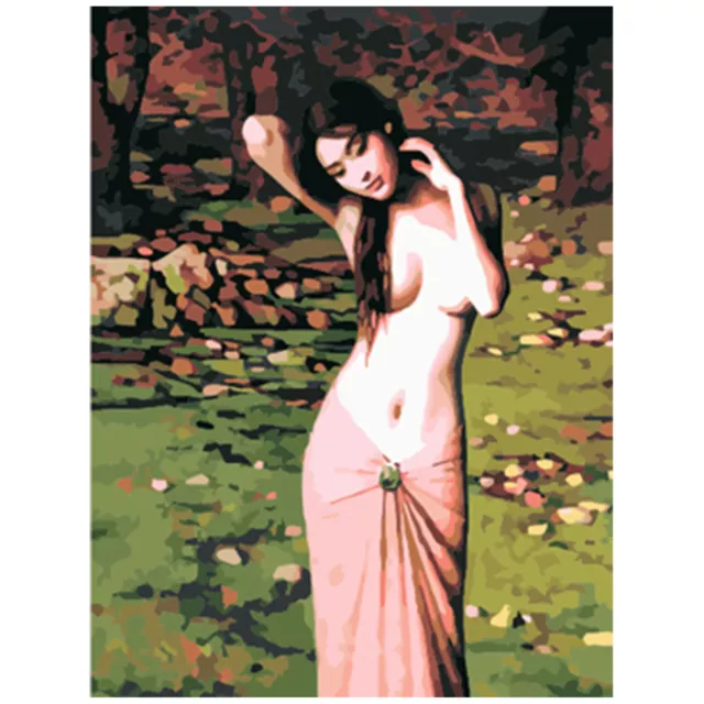 16 x 20 Inch DIY Oil Painting on Canvas Paint by Number Kit Beautiful Women D1N6