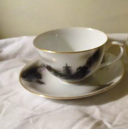 Fukagawa Arita Footed Cup & Saucer Landscape Black Multicolor Rim Hand painted