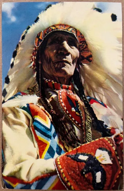 Stoney Indian Chief Sitting Eagle Canada Montana Vintage Postcard c1950