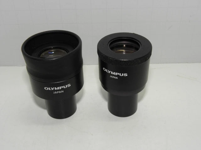 OLYMPUS WHK 10X X /20 L Eyepieces one set with scale