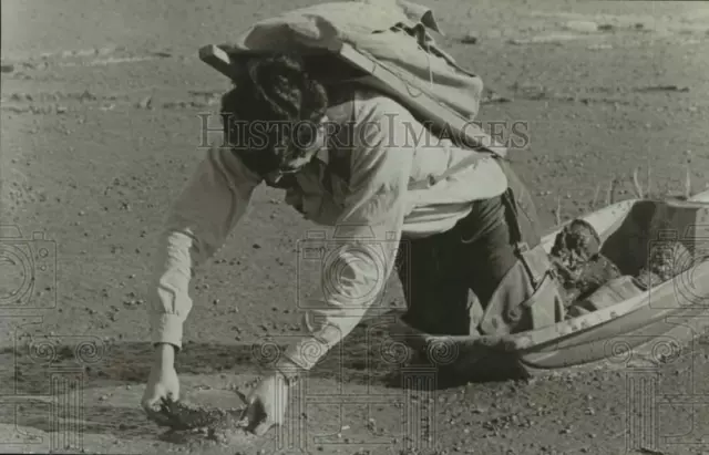 Press Photo Fred Nicholas, Geological Survey Biologist at San Francisco Bay