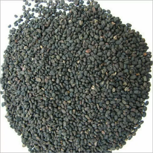 Babchi (Psoralea Corylifolia Seeds) Habit Herb 50g