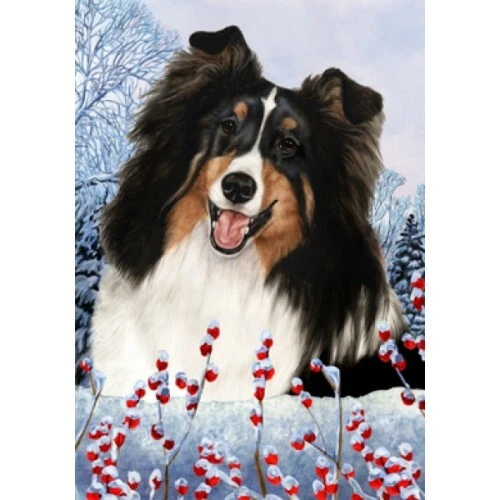 Winter House Flag - Tri Shetland Sheepdog Sheltie 15082